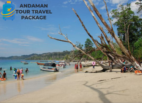 Tour Package To Andaman