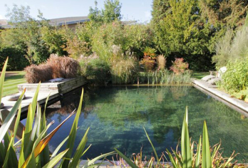 Natural Swimming Pools are an organic alternative to chlorine pools. Natural Swimming Pool installation in Whistler, Squamish and North Vancouver.
https://westcoastnaturalpools.com/natural-pools/