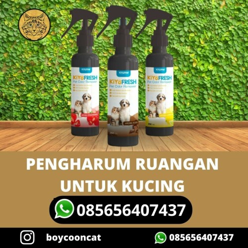 PENGHARUM UNTUK RUANGAN KUCING